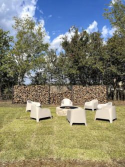 Back-garden